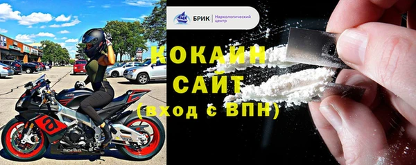apvp Верея