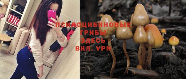 PSILOCYBIN Верхний Тагил