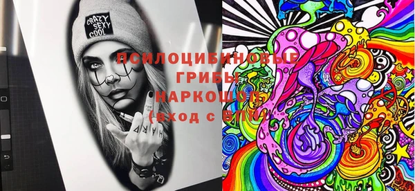 PSILOCYBIN Верхний Тагил